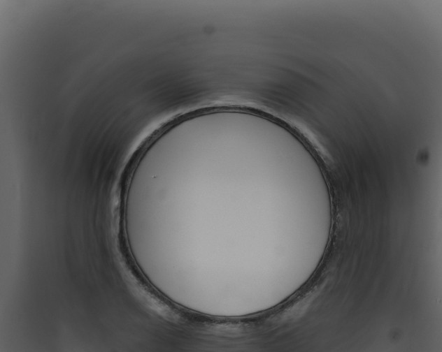 X0000090441126200707131024