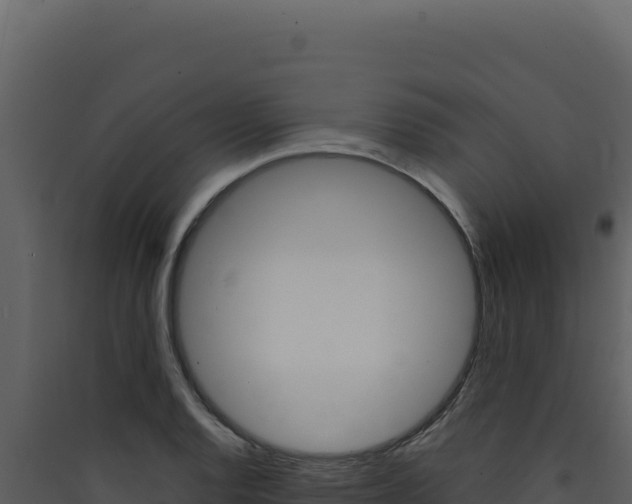 X0000090441128200707131024