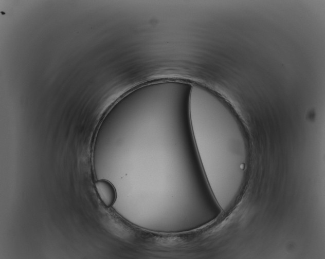 X0000090441129200707131024