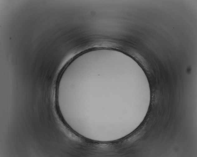 X0000090441130200707131024