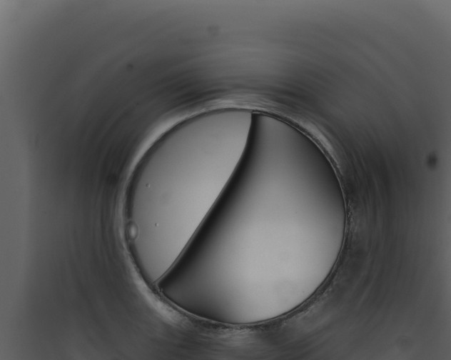 X0000090441131200707131024