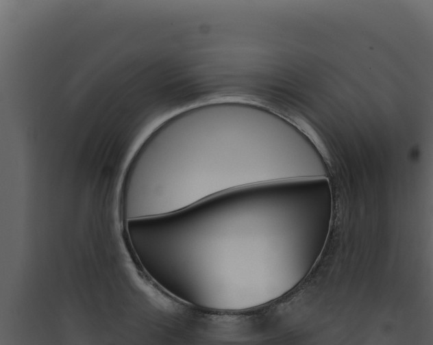 X0000090441132200707131024