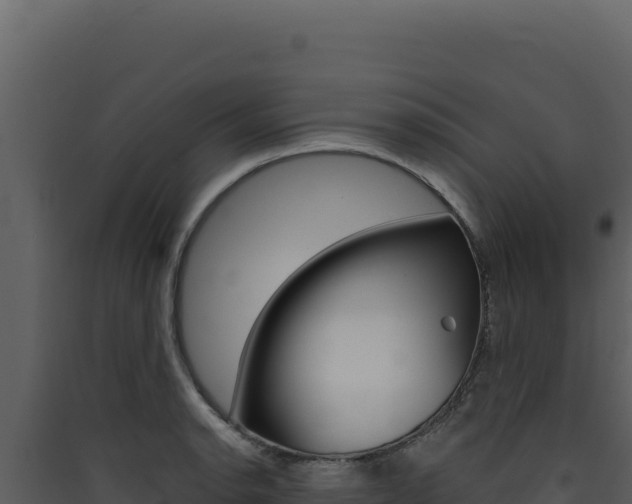 X0000090441134200707131024
