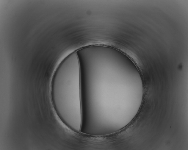 X0000090441135200707131024