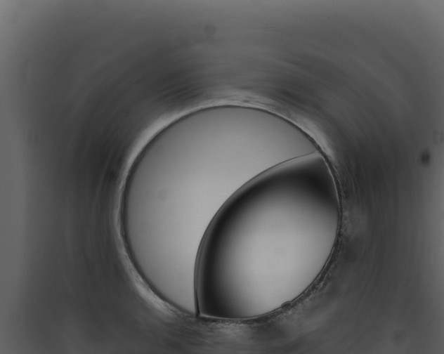 X0000090441136200707131024