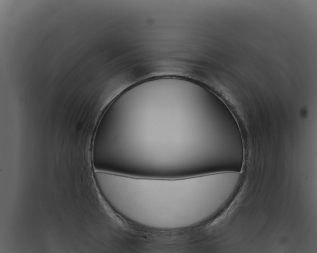 X0000090441137200707131024