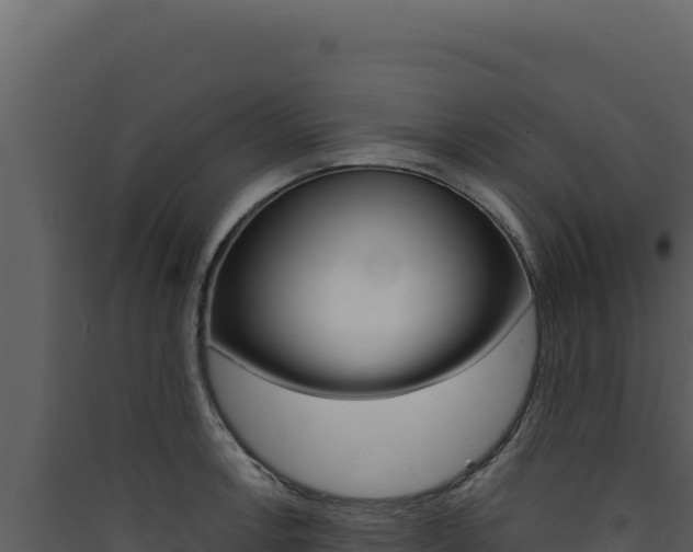 X0000090441138200707131024
