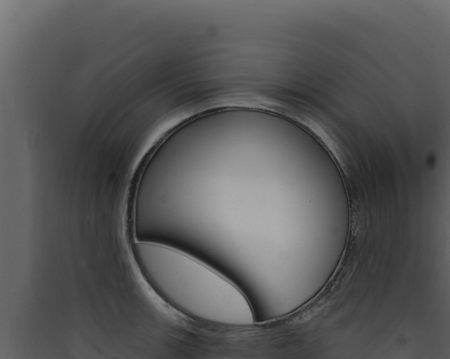 X0000090441139200707131024