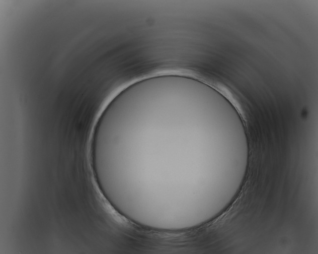 X0000090441140200707131024