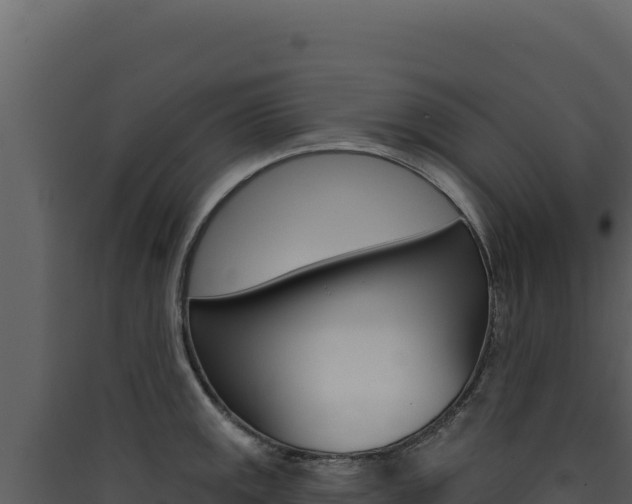 X0000090441141200707131024