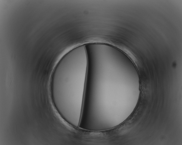 X0000090441142200707131025