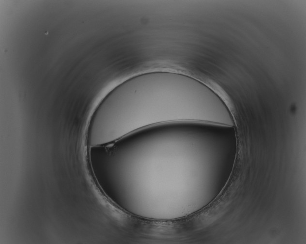 X0000090441144200707131025