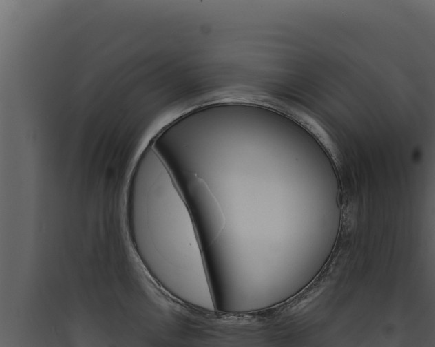 X0000090441146200707131025