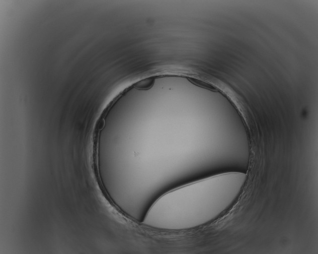 X0000090441147200707131025