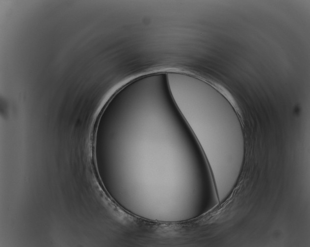 X0000090441148200707131025