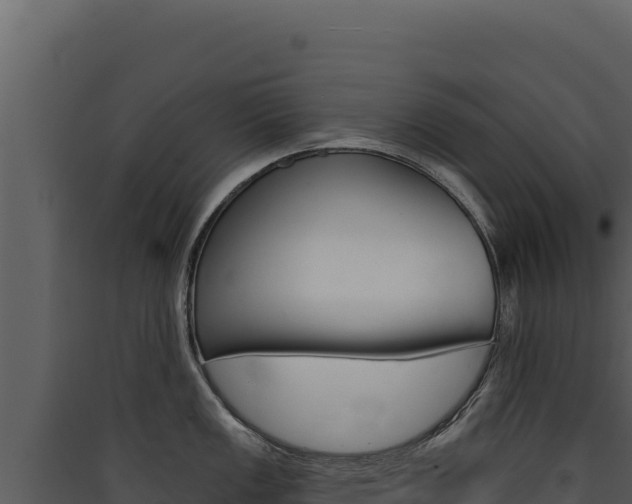 X0000090441149200707131025