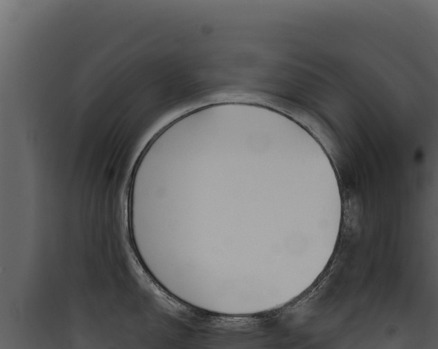 X0000090441150200707131025