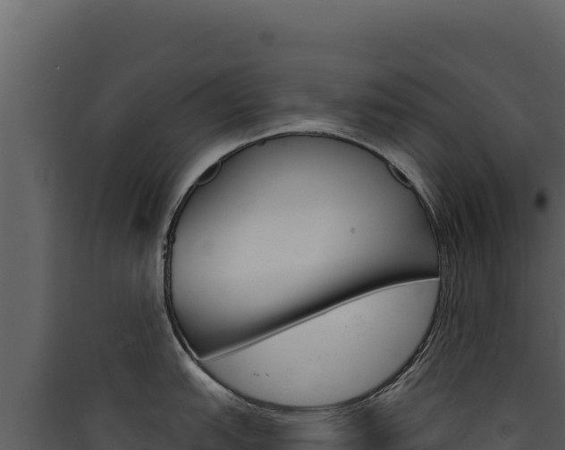 X0000090441151200707131025