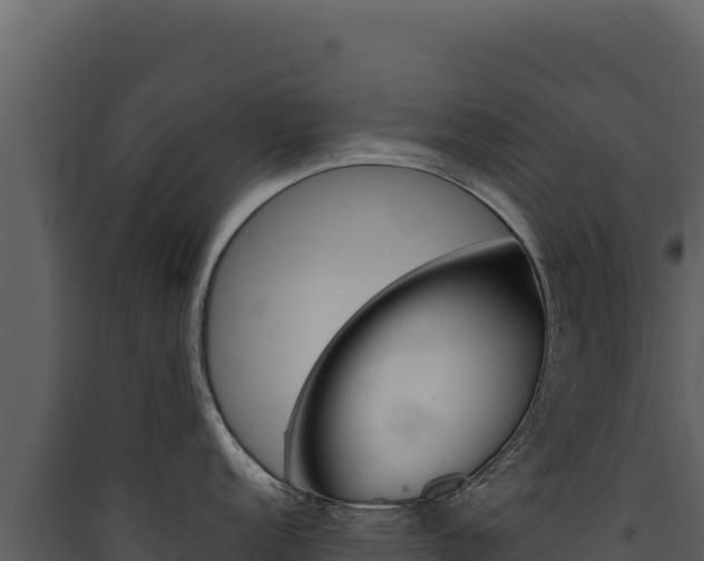 X0000090441152200707131025