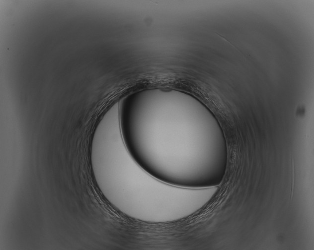 X0000090441153200707131024