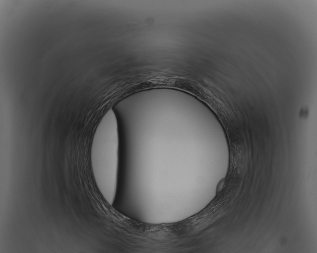 X0000090441154200707131024