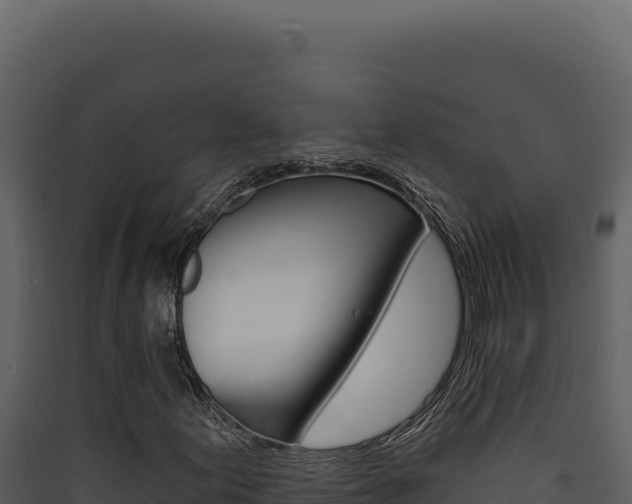 X0000090441155200707131024
