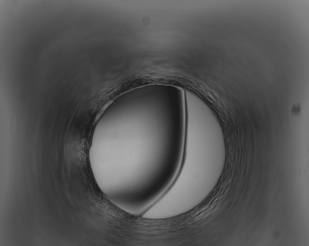 X0000090441156200707131024