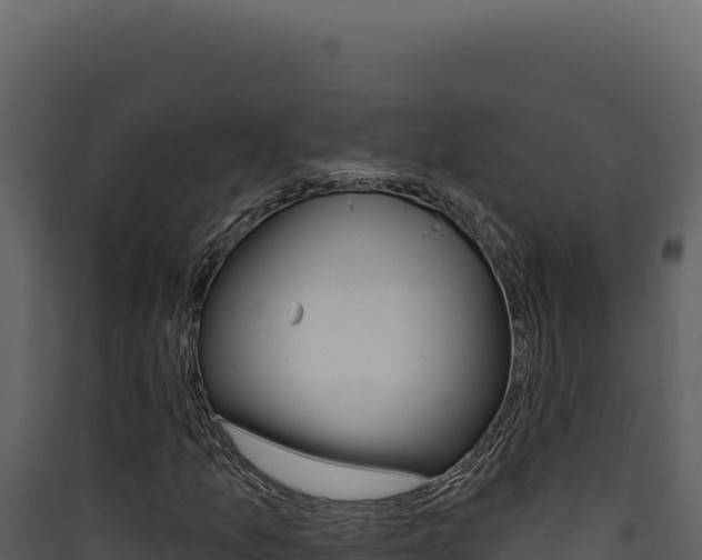 X0000090441157200707131024