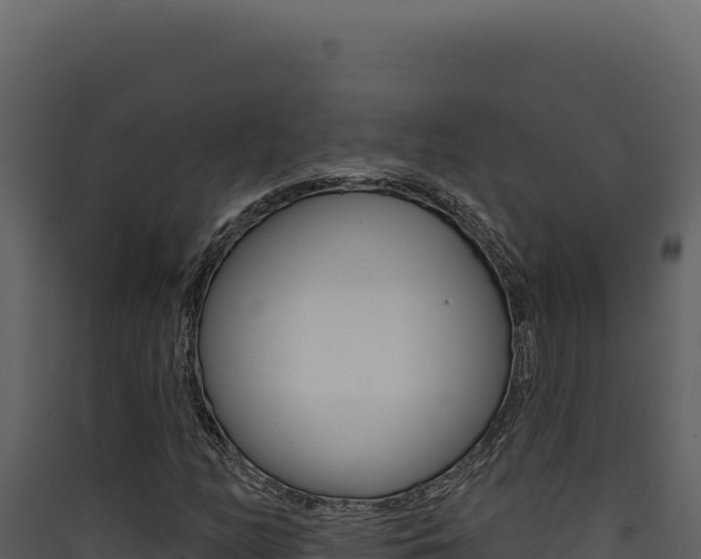 X0000090441158200707131024