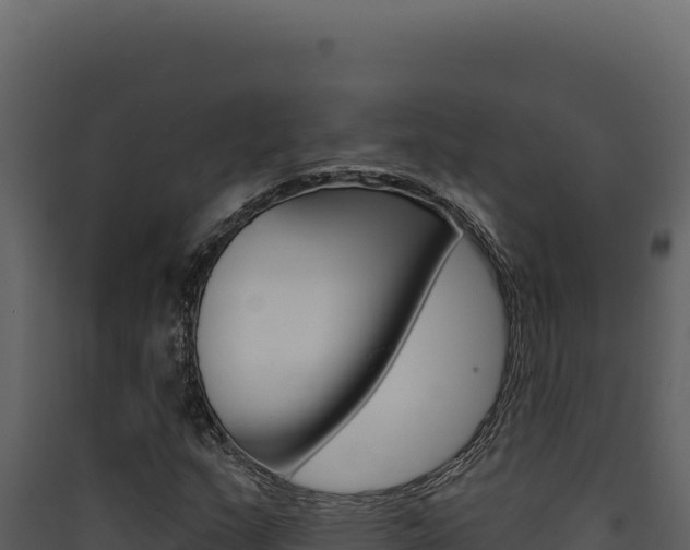 X0000090441159200707131024