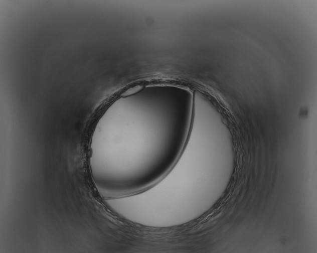 X0000090441160200707131024