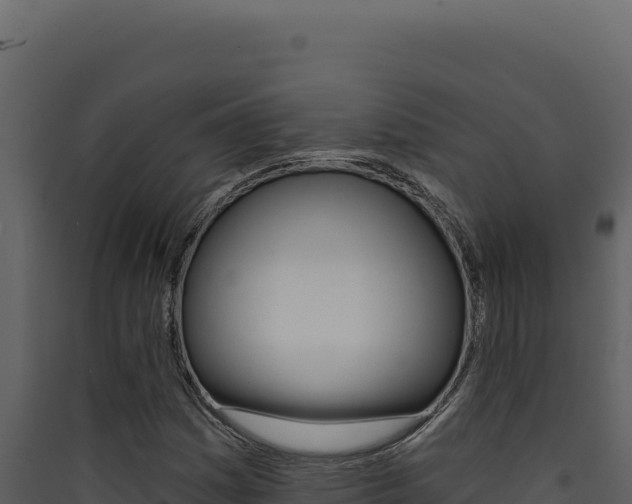 X0000090441161200707131024
