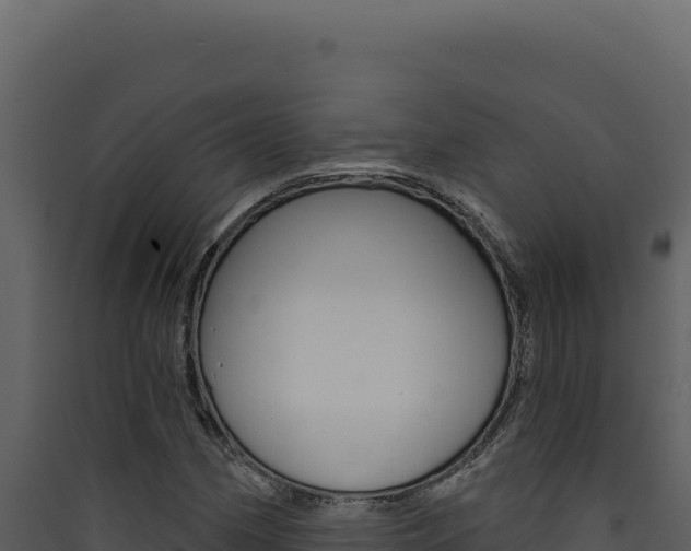 X0000090441162200707131024