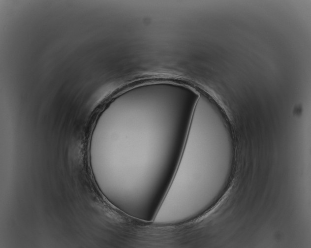 X0000090441163200707131024