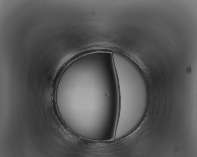 X0000090441164200707131024