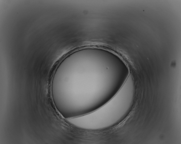 X0000090441165200707131024