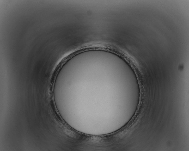 X0000090441166200707131024