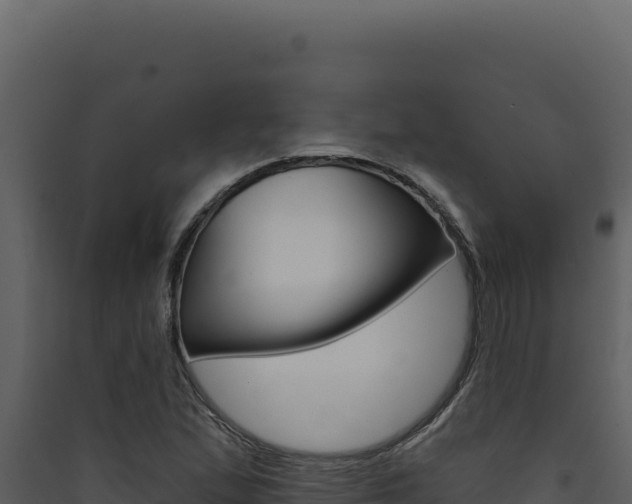 X0000090441167200707131024