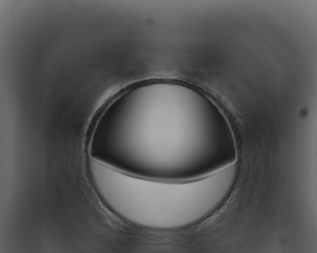 X0000090441168200707131024