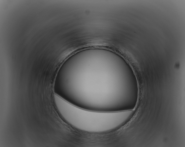 X0000090441169200707131024