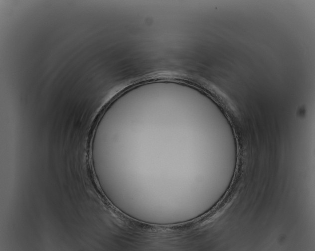 X0000090441170200707131024