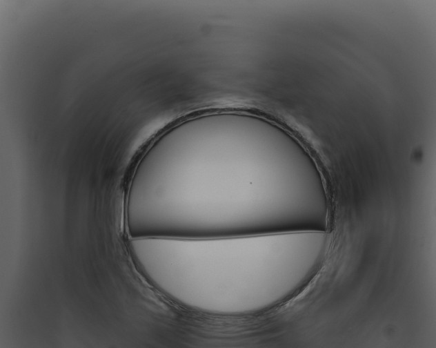 X0000090441171200707131024