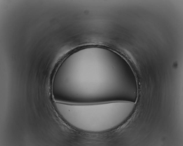 X0000090441172200707131024