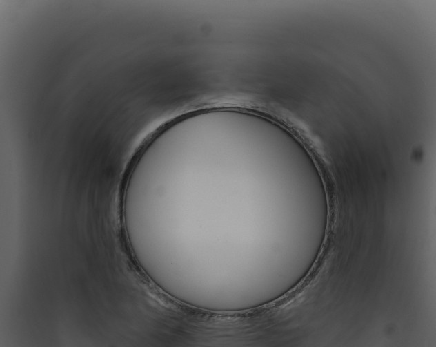 X0000090441174200707131024