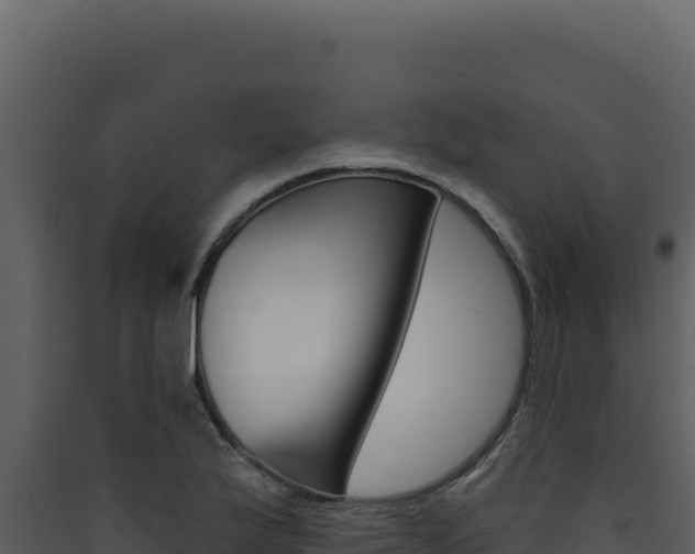 X0000090441175200707131024