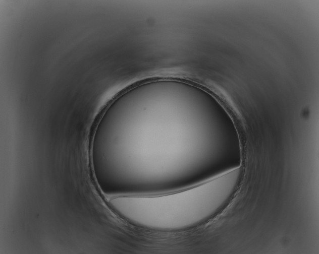 X0000090441176200707131024