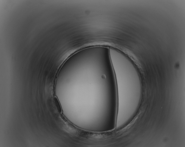 X0000090441177200707131024