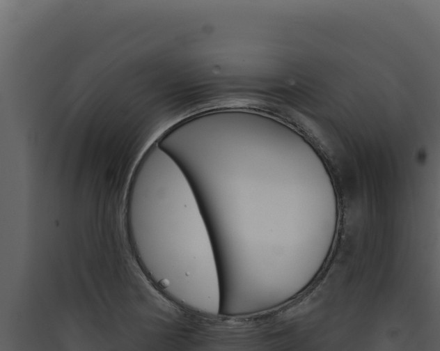 X0000090441178200707131024