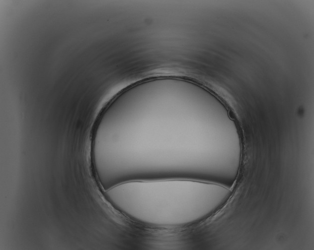 X0000090441179200707131024