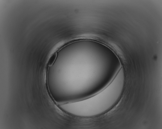X0000090441180200707131024